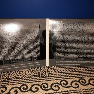 2016 Vans Warped Tour CD is being swapped online for free