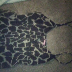 Xl duo is being swapped online for free