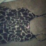 Xl duo is being swapped online for free