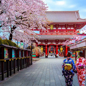 Thủ Tục Cung Cấp Visa Đài Loan is being swapped online for free