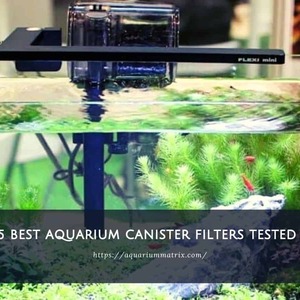 Top 5 best aquarium canister filters tested 2023 is being swapped online for free