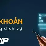 Điều khoản sử dụng Keovip gồm những quy định nào? is being swapped online for free