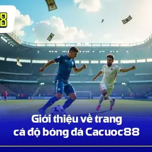 Top 12+ Web Cá Cược Bóng Đá Cho Người Việt 2026 is being swapped online for free