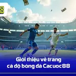 Top 12+ Web Cá Cược Bóng Đá Cho Người Việt 2026 is being swapped online for free