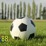 Kèo Bóng Đá 101: Cách Đọc Và Hiểu Chuẩn is being swapped online for free