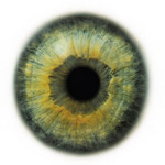 Kate  is swapping clothes online from Key West, Fl