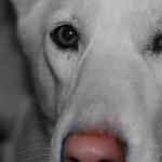 Amber R is swapping clothes online from Jackson, TN