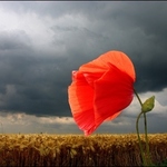 Jenna Y is swapping clothes online from Omaha, NE