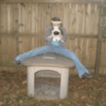 Haleh S is swapping clothes online from 