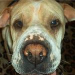 chynna  L is swapping clothes online from Miami/NYC, Florida & NY