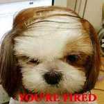 emily E is swapping clothes online from baton rouge , louisiana