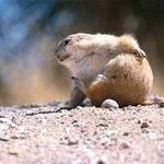 Sandy B is swapping clothes online from Anacoco, LA