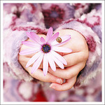 Jen  is swapping clothes online from Maine