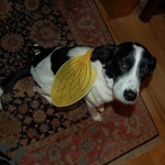 Aimee D is swapping clothes online from Pittsburgh, PA