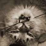 Stephanie  is swapping clothes online from San Francisco, CA