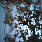 Haley R is swapping clothes online from Nashvegas, TN