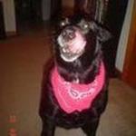 dee W is swapping clothes online from Jacksonville Beach, Florida