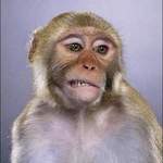 kabuki909 is swapping clothes online from 