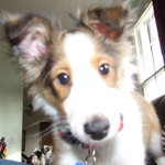 mrssoup is swapping clothes online from 