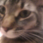 keoi eid is swapping clothes online from Somewhere near Greensburg, PA