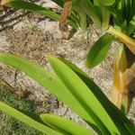 kross is swapping clothes online from 