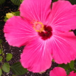 Morgana - is swapping clothes online from Akron, OH