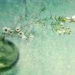 Irena  is swapping clothes online from Montreal, Canada, 