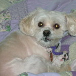 Mary  is swapping clothes online from Ocean Springs, Mississippi