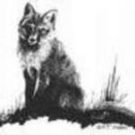 Keri  is swapping clothes online from Albany, OR