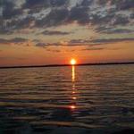 ALICE T is swapping clothes online from GAINESVILLE, FL