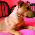 s0ni is swapping clothes online from 