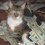 Jen K is swapping clothes online from brooklyn, ny