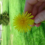 Kate V is swapping clothes online from Kentucky