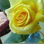 Sandy L is swapping clothes online from Holliston, MA