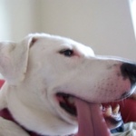 minisoda is swapping clothes online from 