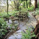 daush is swapping clothes online from 