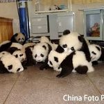 nationmckinley is swapping clothes online from 