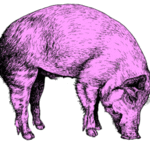 Lee W is swapping clothes online from NJ