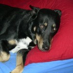 Christina S is swapping clothes online from Louisville, KY