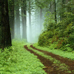 Kat P is swapping clothes online from Madison, TN