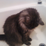 Janelle  is swapping clothes online from Lewisburg, Tennessee