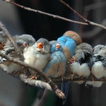 Kari R is swapping clothes online from Palestine, Texas