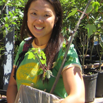 purelily is swapping clothes online from 