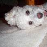 annieangel is swapping clothes online from 