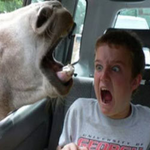 stace  is swapping clothes online from B-town, 