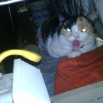 kathleeeen4 is swapping clothes online from 