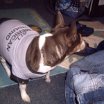 tiney F is swapping clothes online from grove city, ohio