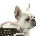 cricket is swapping clothes online from 