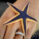 rtruax is swapping clothes online from 