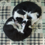 Brynn  is swapping clothes online from VA